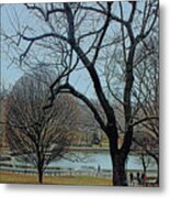 Afternoon In The Park Metal Print