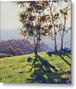 Afternoon Light Cuthill Road Metal Print