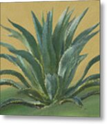 Agave Metal Print