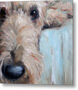 Airedale Blues Metal Print