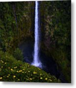 Akaka Falls Metal Print