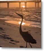 Alabama Blue Heron Metal Print