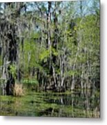 Alabama Swamp Metal Print