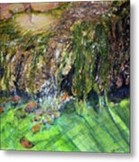 Algae Waterfall Metal Print