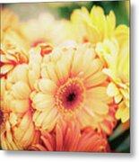All The Daisies Metal Print