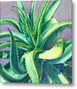 Aloe Vera Watercolor Metal Print