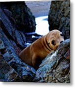 Alone Metal Print