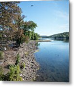 Along The Bank Of The Delaware River Metal Print