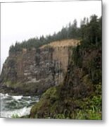 Along The Oregon Coast - 8 Metal Print