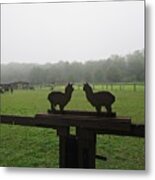 Alpaca Farm In Vockerode Metal Print