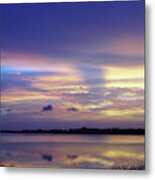 Amazing Beauty In The Morning Metal Print