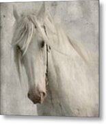 Amazing Grace Metal Print