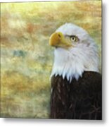 American Bald Eagle At Sunrise Metal Print