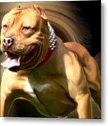 American Red Bully Pitbull By Spano Metal Print