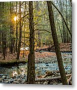 Amethyst Brook, Amherst, Ma Metal Print