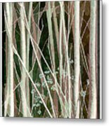 Amid The Forest Metal Print