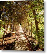 An Arbor View Metal Print