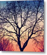 An Autumn Tree Romance Metal Print