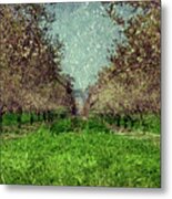 An Orchard In Blossom In The Eila Valley Metal Print