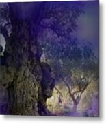 Ancient Witness Tree Garden Of Gethsemane Vision Metal Print