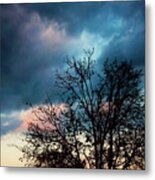 And In The Evening Metal Print