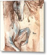 Andalusian Horse 2016 01 10 A Metal Print