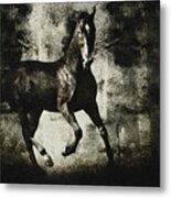 Andalusian Horse Metal Print