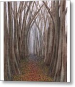 Another Trip Into The Woods Metal Print
