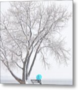 Another Winter Alone Metal Print