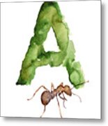 Ant Watercolor Alphabet Painting Metal Print