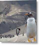 Antarctic Majesty Metal Print