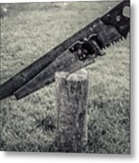 Antique Hand Saws In A Stump - Bw Metal Print