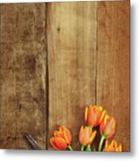 Antique Scissors And Tulips Metal Print