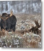 Antlers In The Brush Metal Print