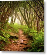 Appalachian Hiking Trail - Blue Ridge Mountains Forest Fog Nature Landscape Metal Print