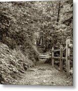 Appalachian Trail At Newfound Gap - Sepia Metal Print