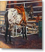 Appaloosa Metal Print