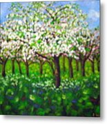 Apple Blossom Orchard Metal Print