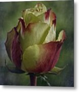 April 2017 Rose - Inspired By Emerson Metal Print