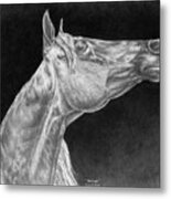 Arabian Horse Attitude Print Metal Print