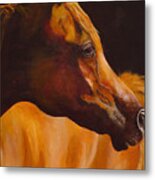 Arabian Horse Oil Painting Metal Print