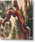 Arbutus Metal Print