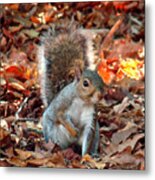 Are You Friendly Metal Print