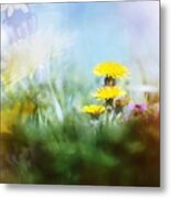 Around The Meadow Metal Print