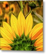 Array Of Sunshine Metal Print