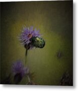 Artistic Two Beetles On A Thistle Flower Metal Print