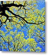 Artsy Tree Canopy Series, Early Spring - # 03 Metal Print