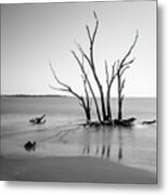 Ashore Metal Print