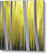 Aspen Blurr Metal Print