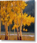 Aspen Color Metal Print